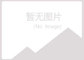 上海晓夏采矿有限公司